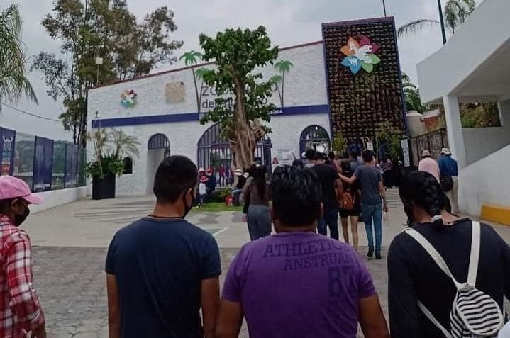 Delincuentes roban guacamaya del zoológico tlaxcalteca