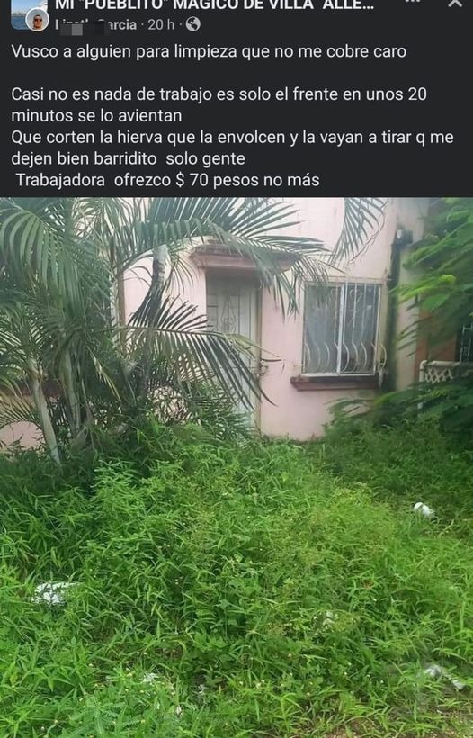 Ofrece poco dinero para que limpien su jardín que parece jungla y se vuelve viral