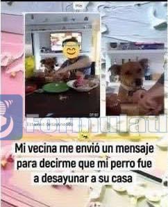 Perrito se escapa de su casa para desayunar con la vecina