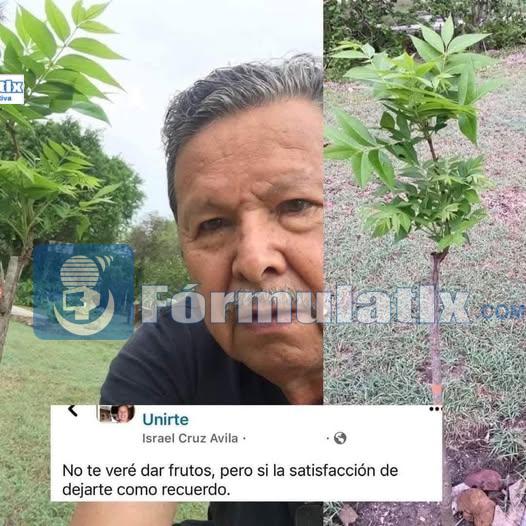 Se vuelve viral publicación de una persona que plantó un arbolito que no lo podrá ver crecer