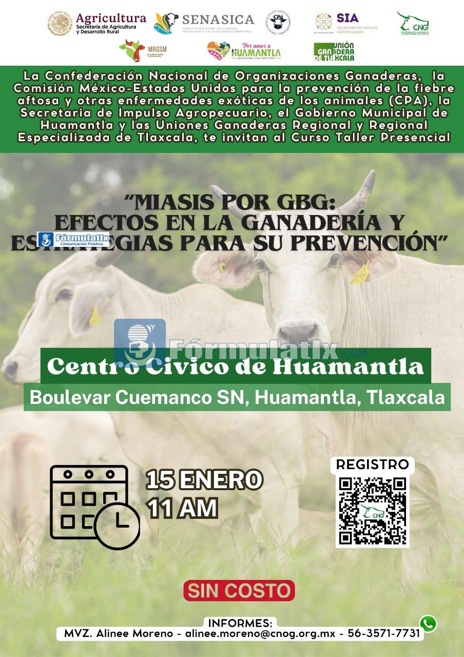 CARTEL_CURSO TALLER