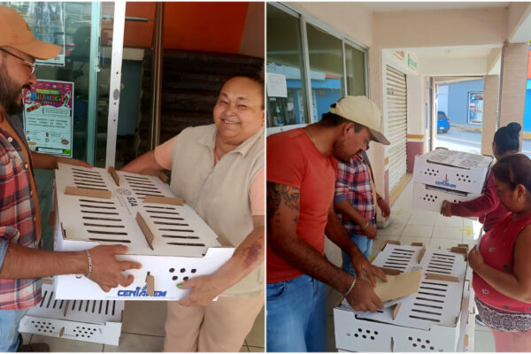 Benefician a 55 familias con programa de aves de traspatio