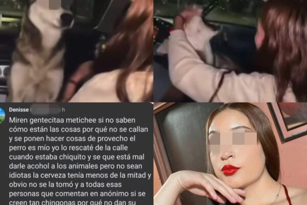 Tiktoker mexicana alcoholiza a perrito para ganar likes