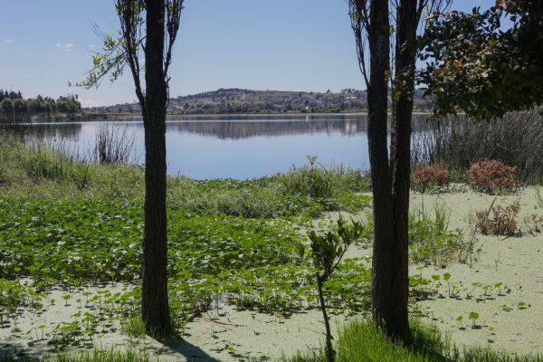 Aumenta laguna de Acuitlapilco su nivel