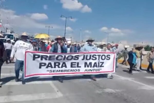 Campesinos de Huamantla exigen precio justo para el maíz; piden a Sheinbaum apoyar al campo