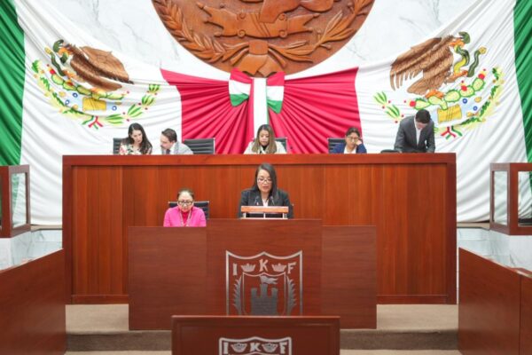 “Reforma a la Ley de Amparo representa un retroceso en la protección de los derechos humanos”: diputada Laura Flores Lozano