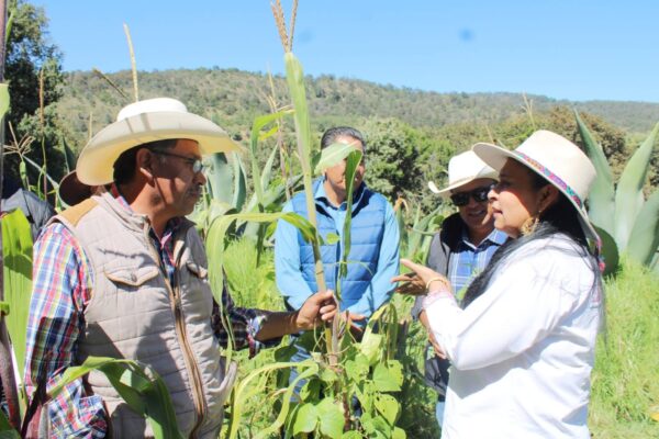 Un logro de Ana Lilia Rivera que FAO reconozca al Metepantle Tlaxcalteca como Patrimonio Agrícola Mundial