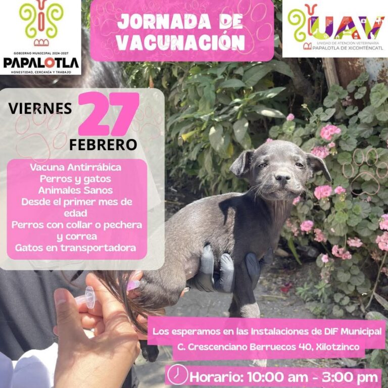 Sergio Lara dedicado a la prevención y acciones de salud en Papalotla 