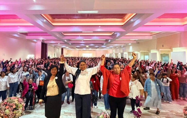 Autonomía económica, clave para erradicar violencias contra las mujeres: Ana Lilia Rivera