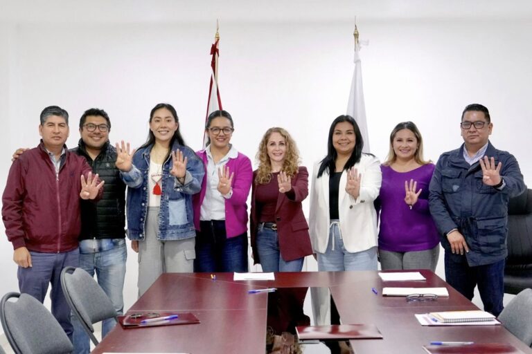 Marcela González encabeza sesión del Comité Ejecutivo Estatal para iniciar la conformación de los Consejos Municipales de los Comités Seccionales de Defensa de la Transformación. 