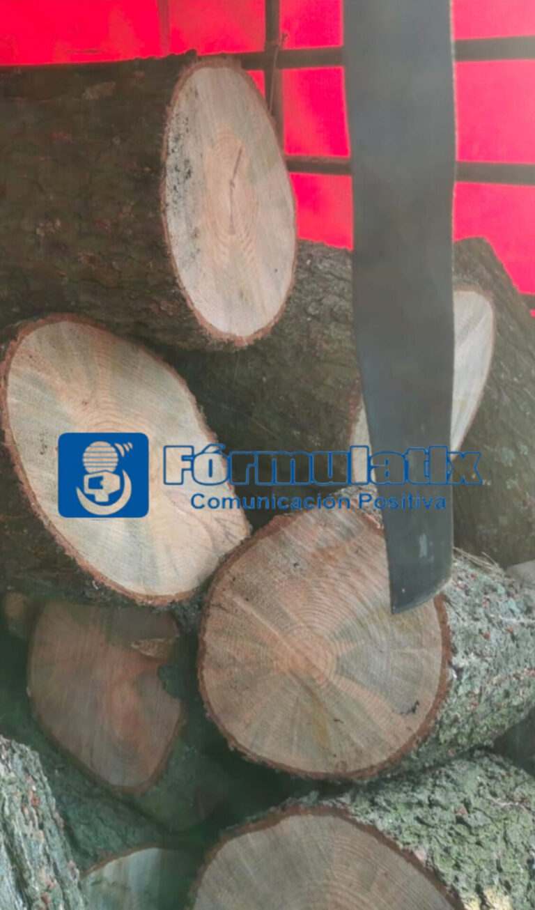 Aseguramiento de presunto talamonte desata trifulca en Papalotla; 4 patrullas resultan dañadas