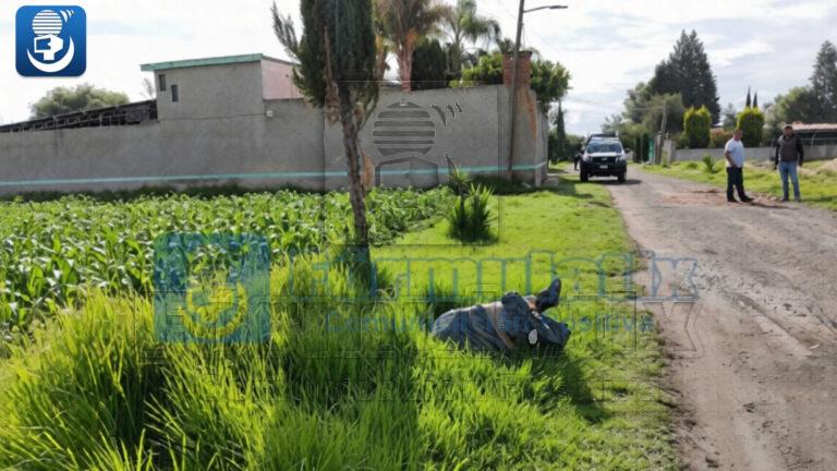 Hallan cuerpo embolsado en los límites de Puebla y Tlaxcala
